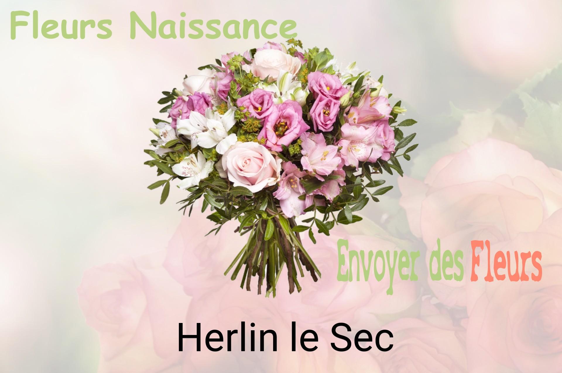 Bouquet de fleurs de naissance livré à Herlin-le-Sec